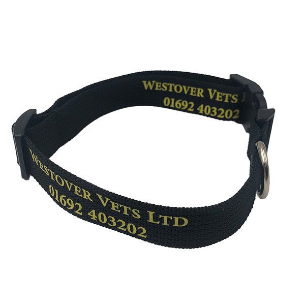  rPET Dog Collar - 1 Colour