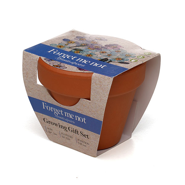  Terracotta Flower Pot