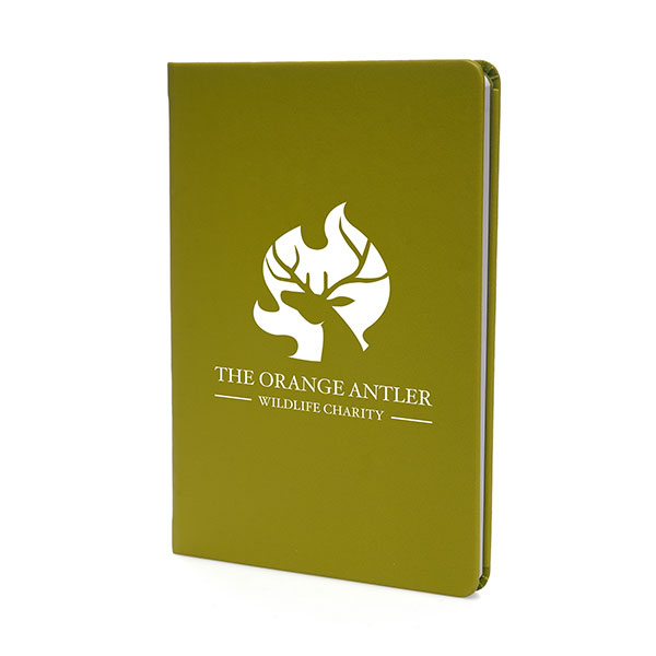  A5 Apple Skin Notebook - 1..