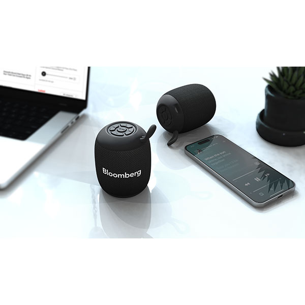  Indus Speaker - 1 Colour